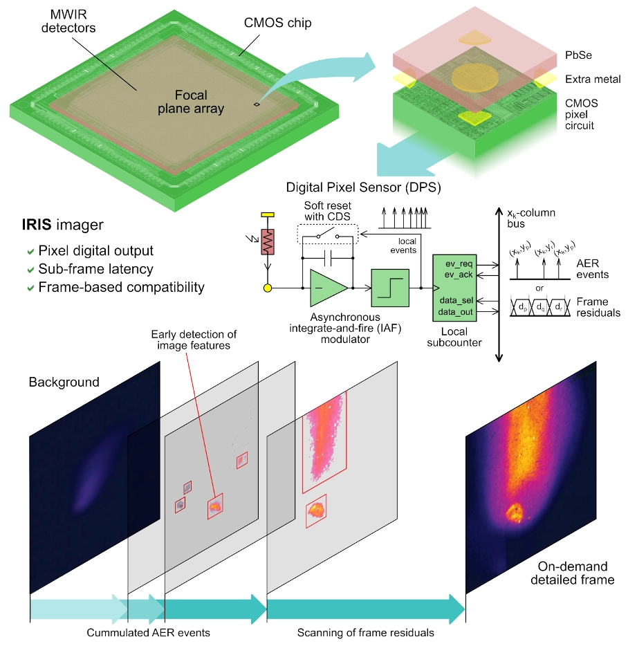 The general objective of the IRIS project is to develop a new family of Read Out Integrated Circuits (ROICs) for uncooled MWIR high-speed imagers with resolutions above 340×220 pixels. In particular, the project shall focus in identifying and developing all the technological bricks necessary for obtaining a ready-to-industrialize IRIS implementation that reduces the current size of the 50-µm pixel pitch and it improves the other performance figures in terms of power consumption, responsivity, speed and noise.